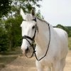 antares-precision-ogłowie-anatomiczne-skórzane-comfort-bridle